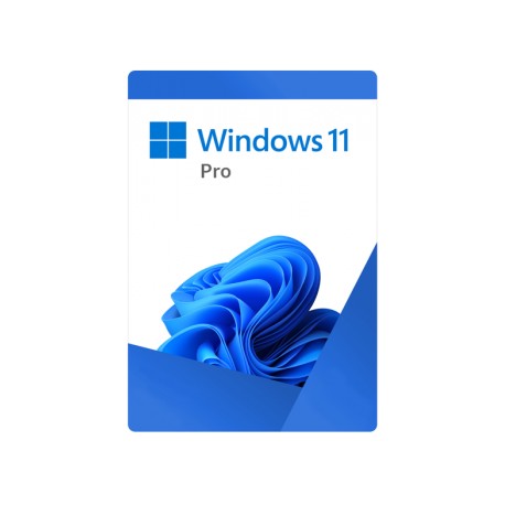 1 x Microsoft Windows 11 Professional OEM 64-Bit PL ESD dla Firm, Edukacji i Urzędów na 1 PC cena 12